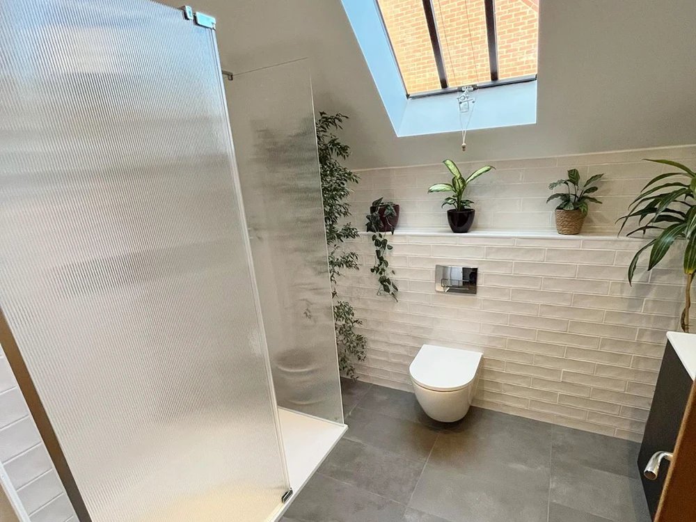 Larmour bathroom shower and toilet