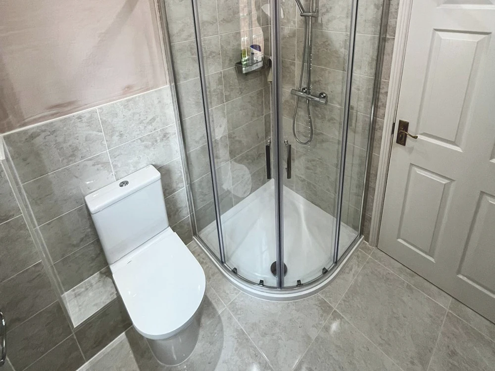 Showering with Flair toilet and shower